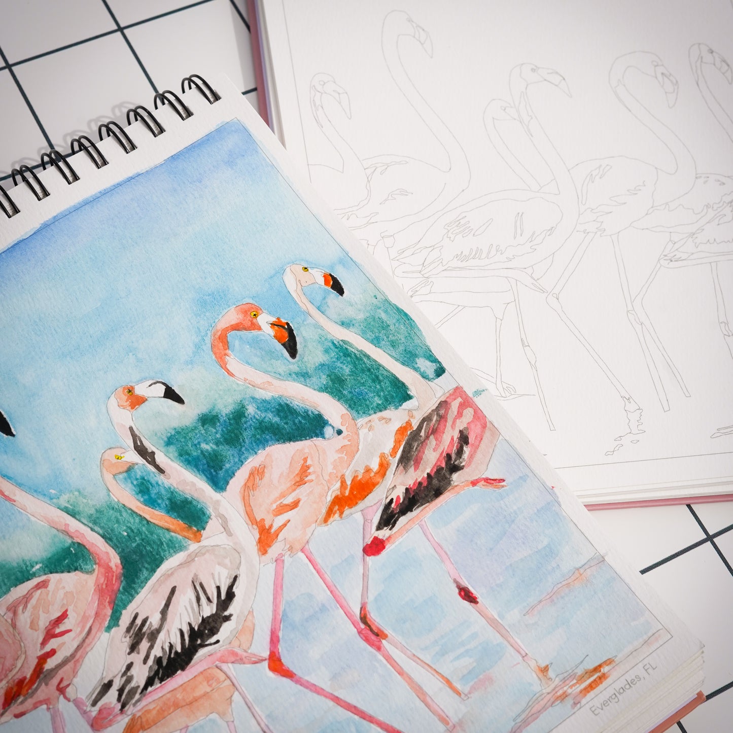 national parks watercolor book