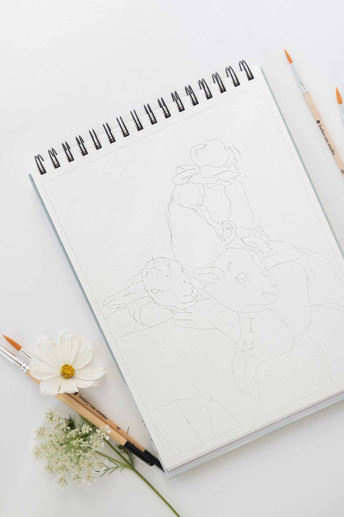 NEW - country life watercoloring book