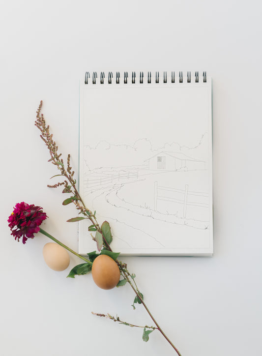 NEW - country life watercoloring book