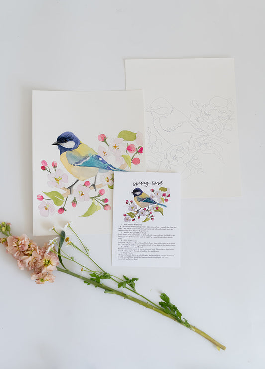 spring bird - watercolor kit