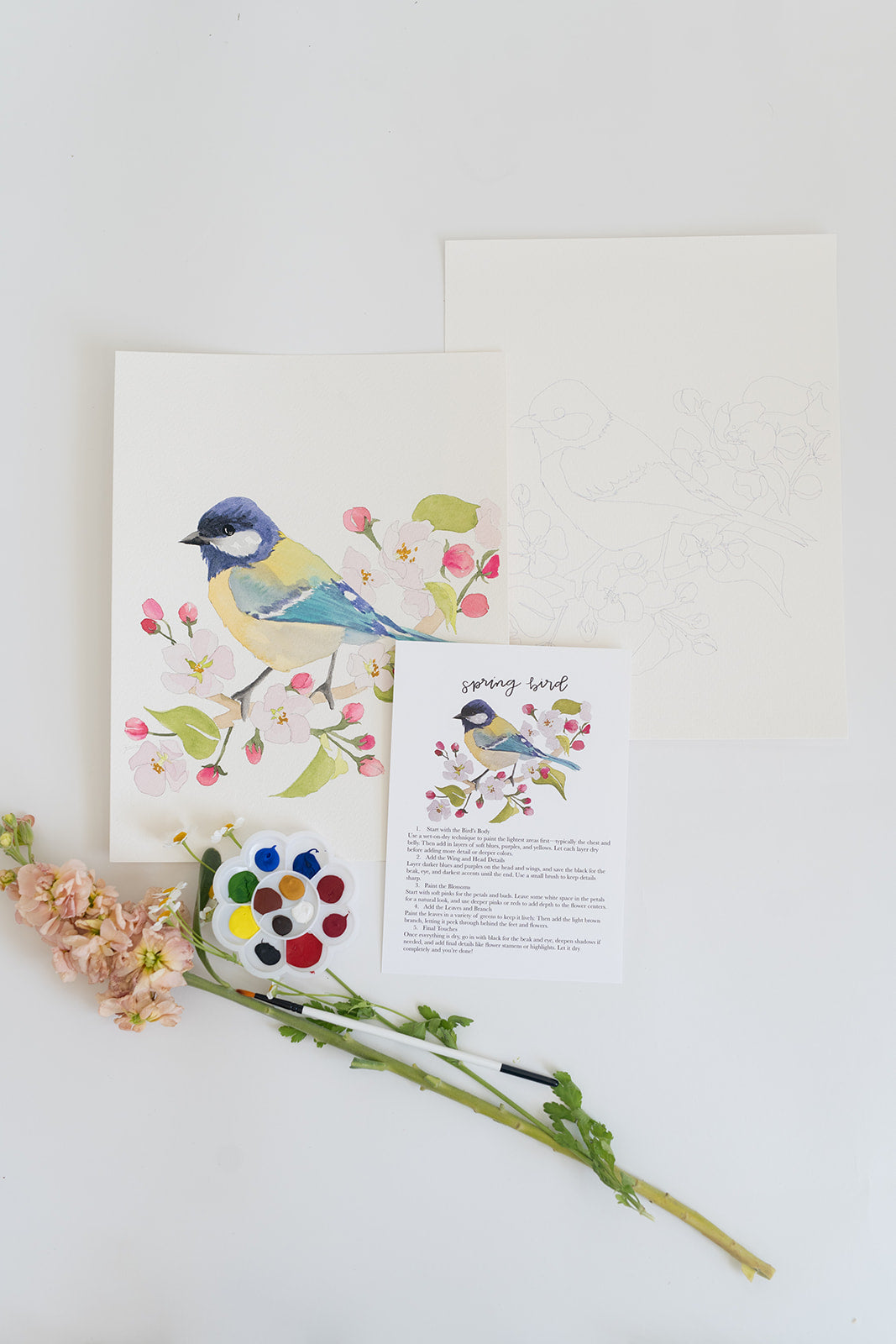 spring bird - watercolor kit