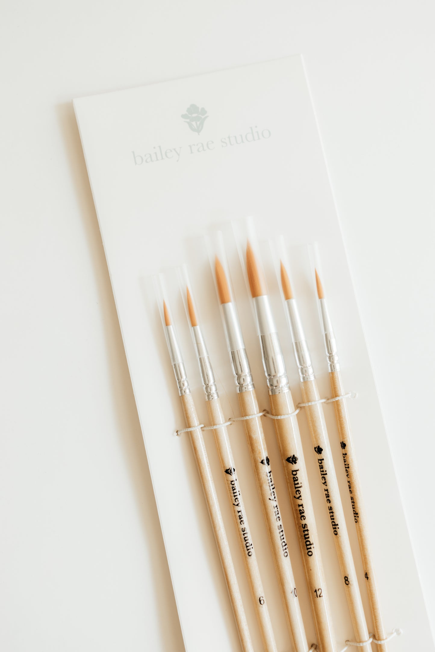 paint brush set