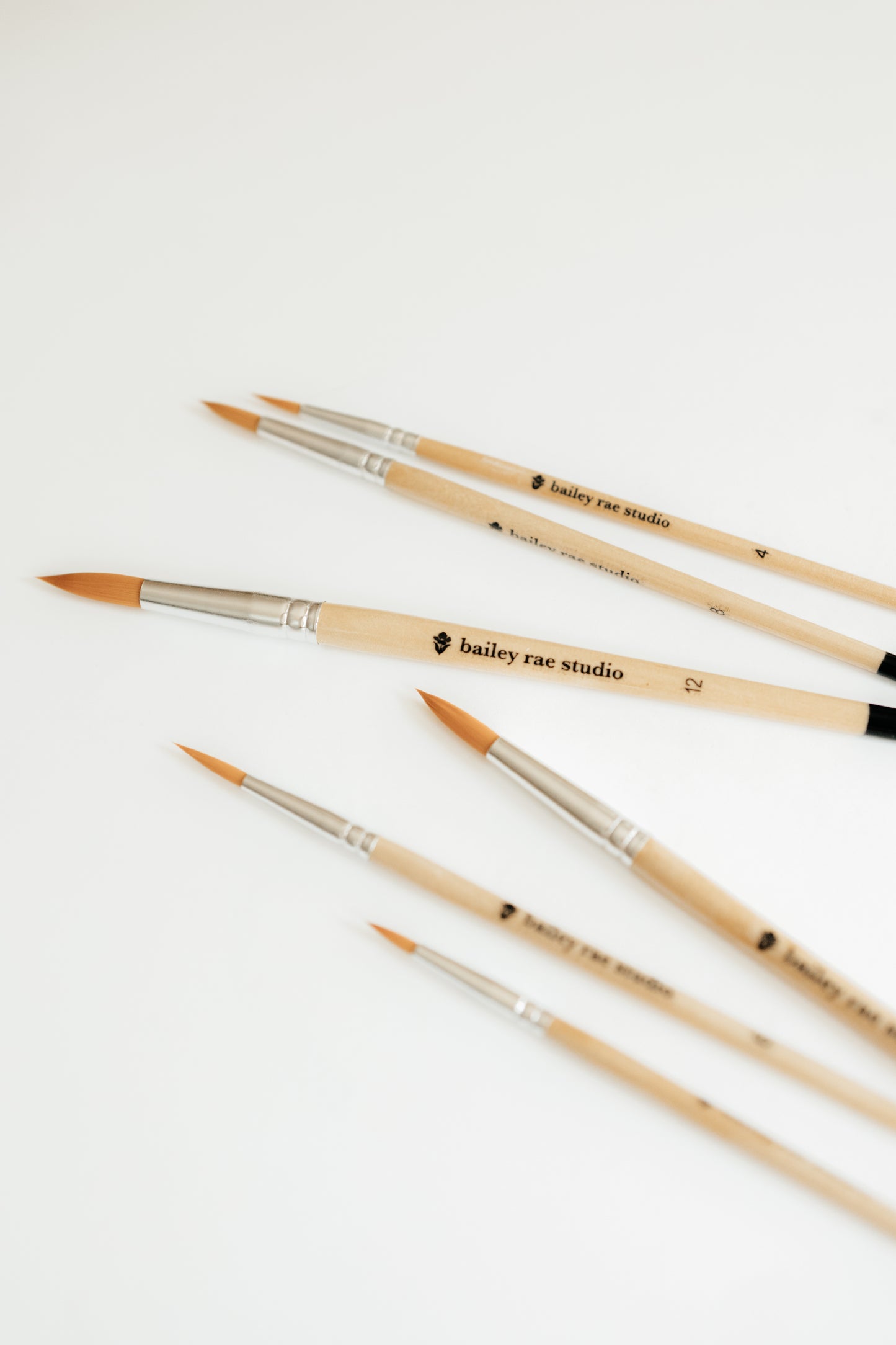paint brush set