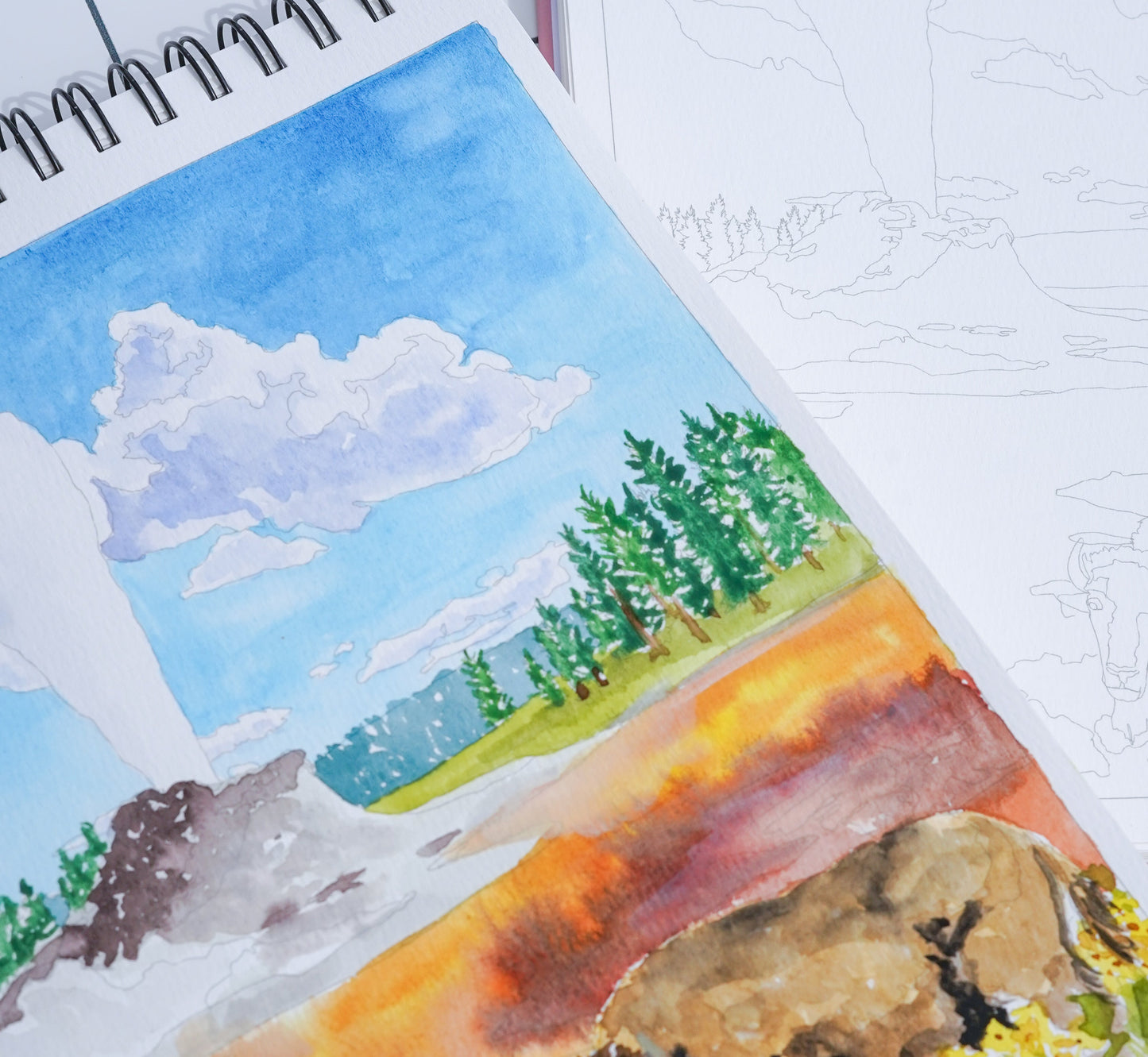 national parks watercolor book