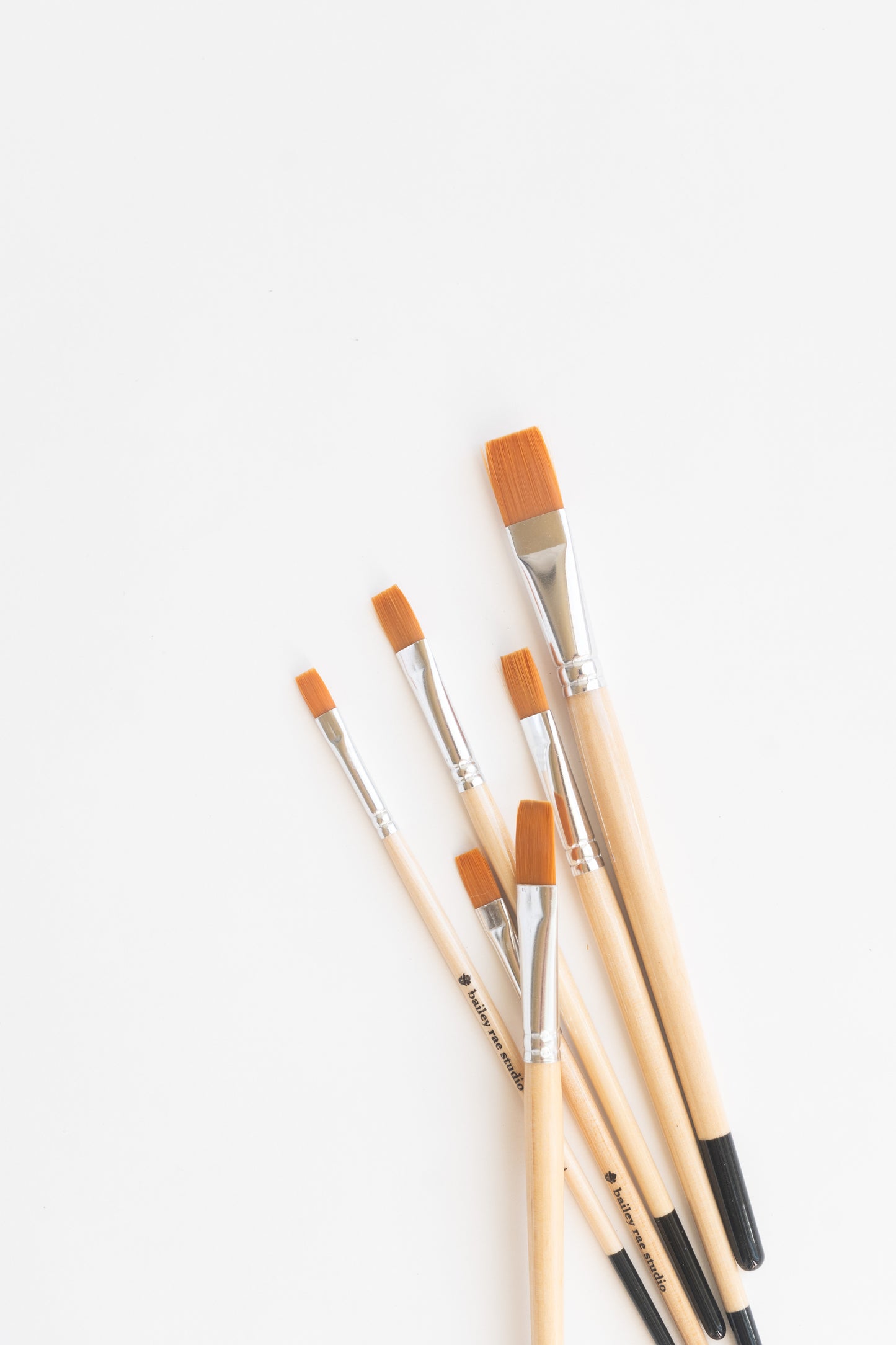 NEW flat brush set
