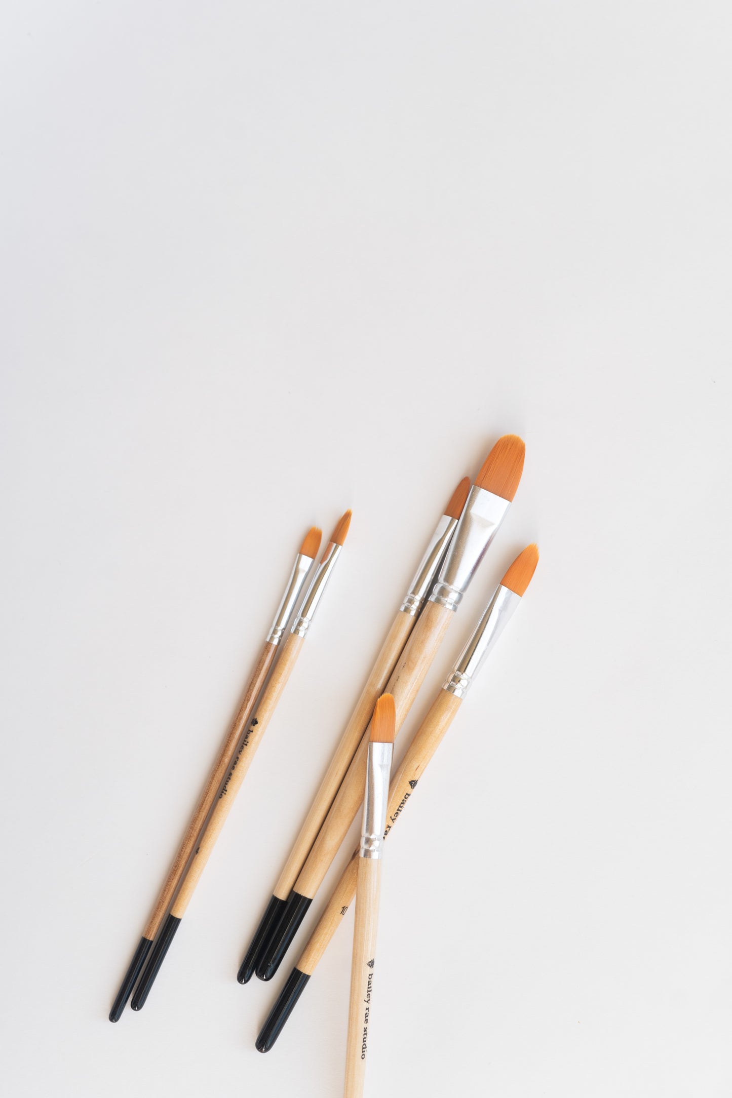 NEW filbert brush set