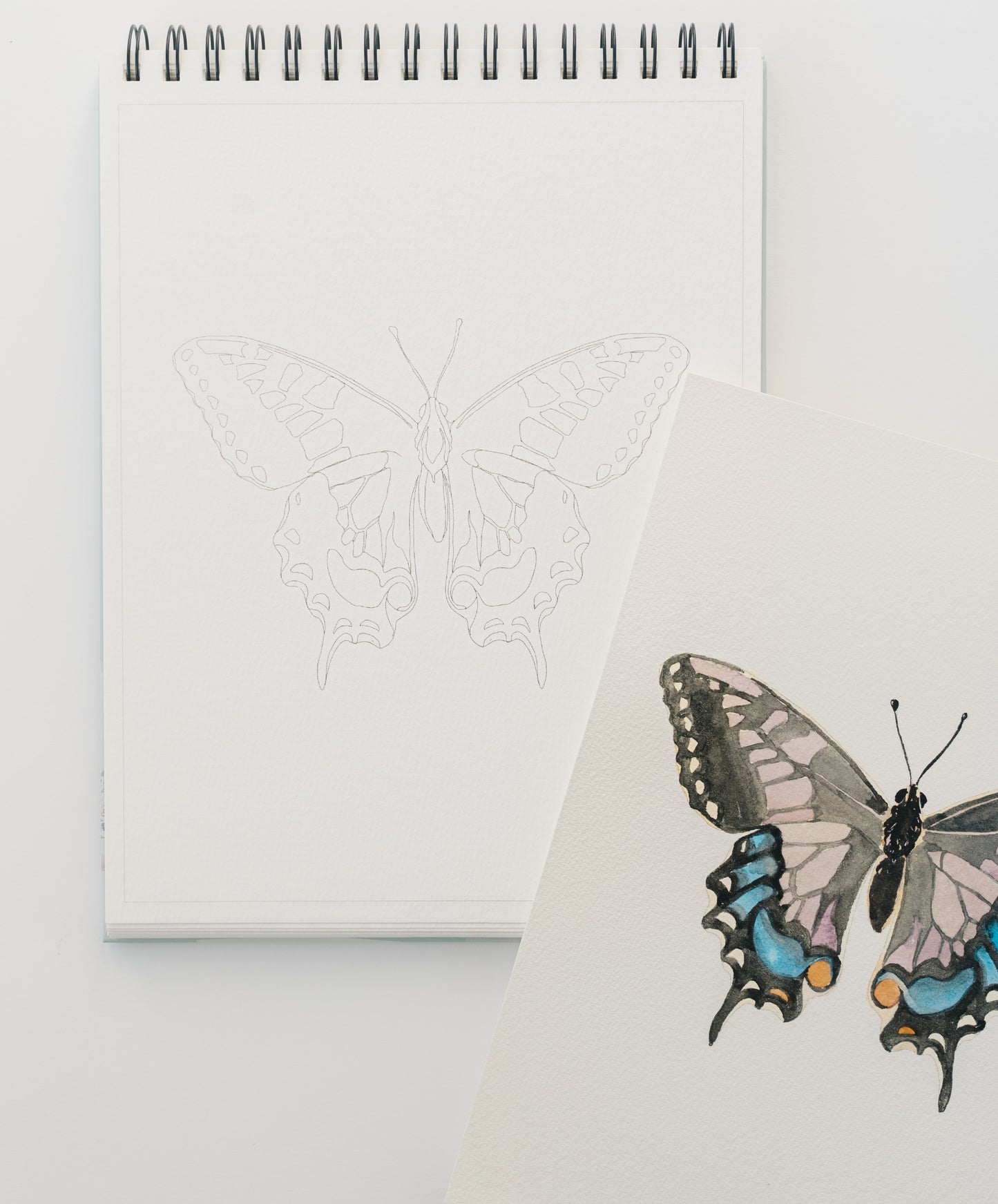 NEW - country life bundle