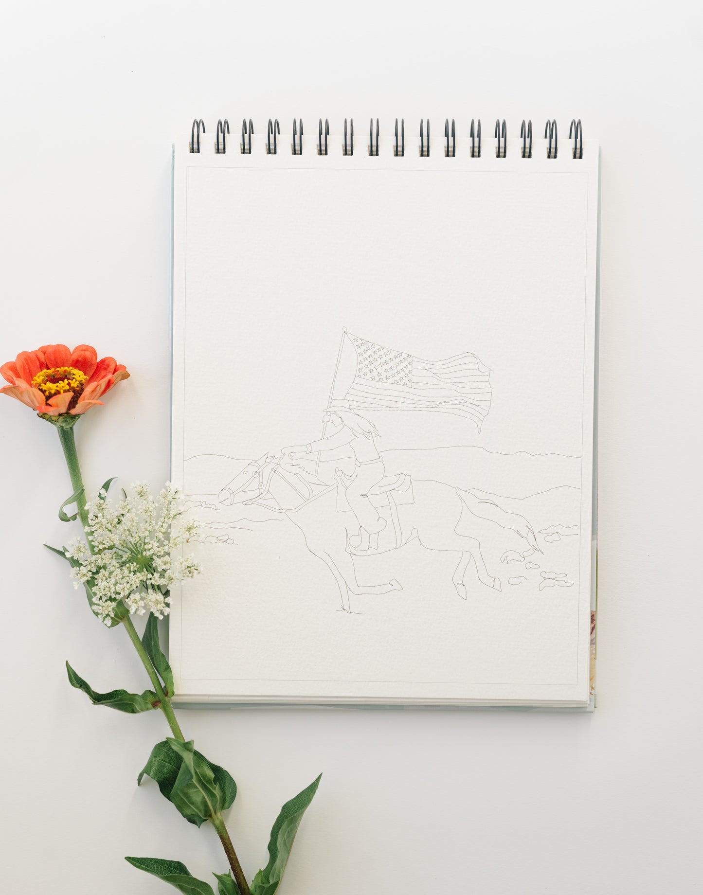 NEW - country life bundle