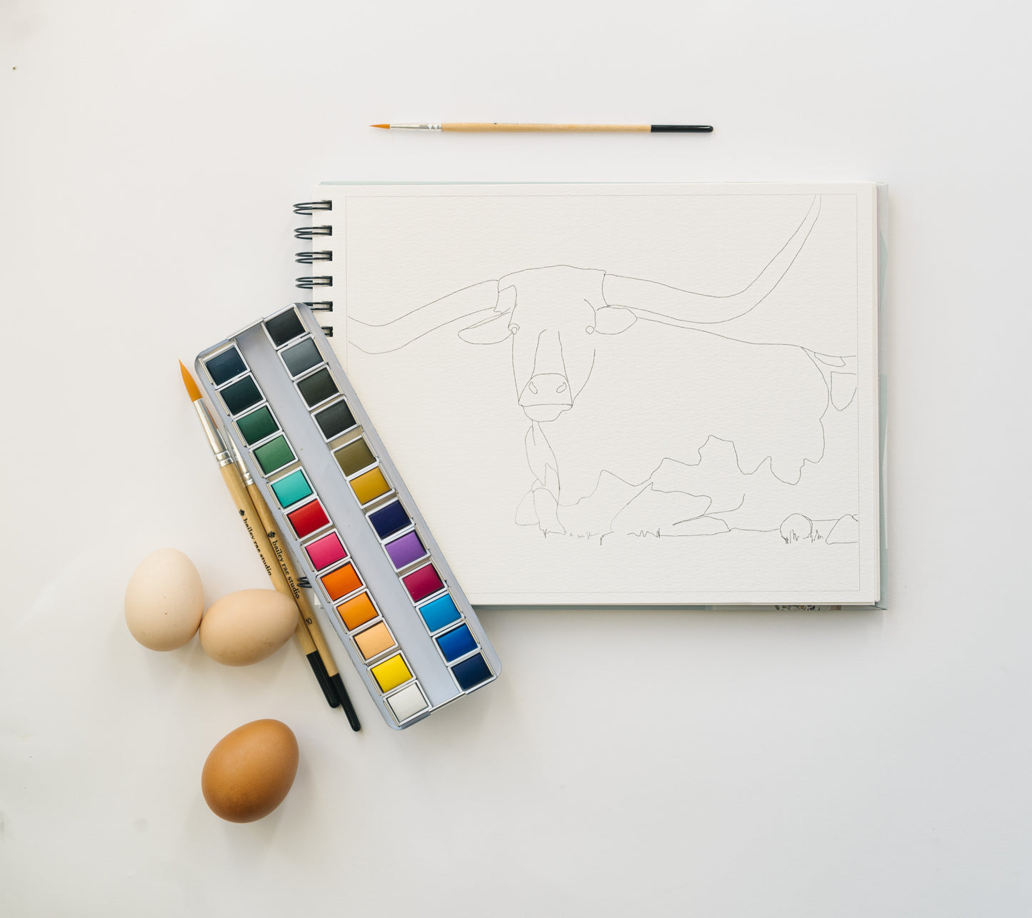 NEW - country life watercoloring book