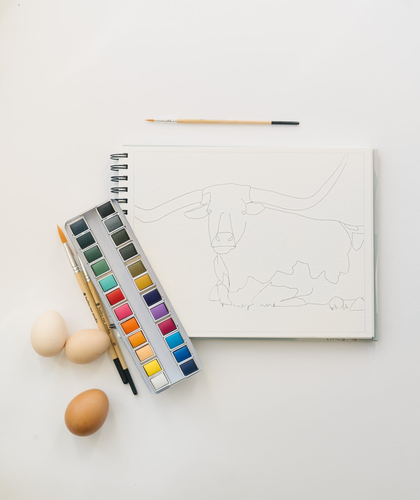 NEW - country life bundle