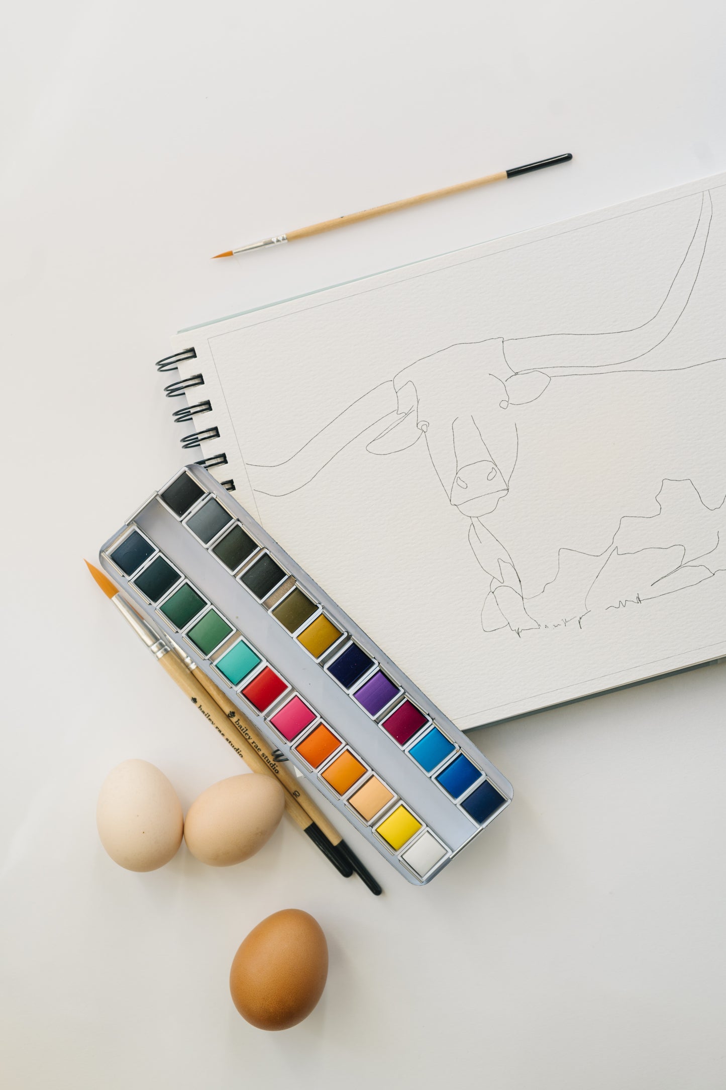 NEW - country life watercoloring book