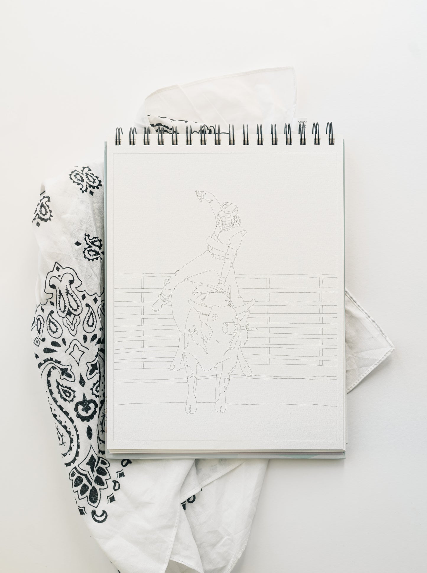 NEW - country life watercoloring book