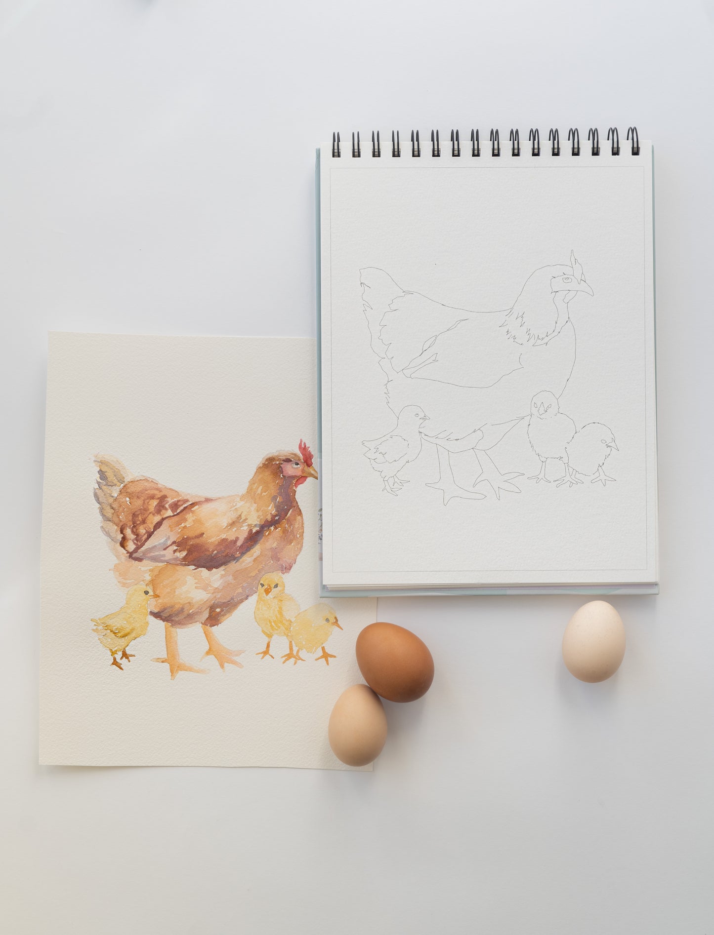 NEW - country life bundle