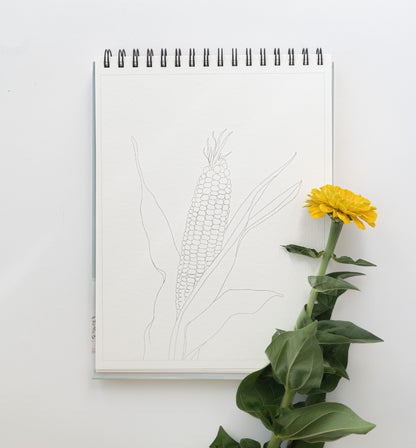 NEW - country life bundle