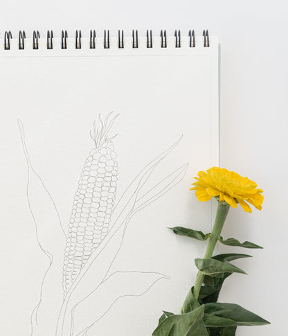 NEW - country life watercoloring book