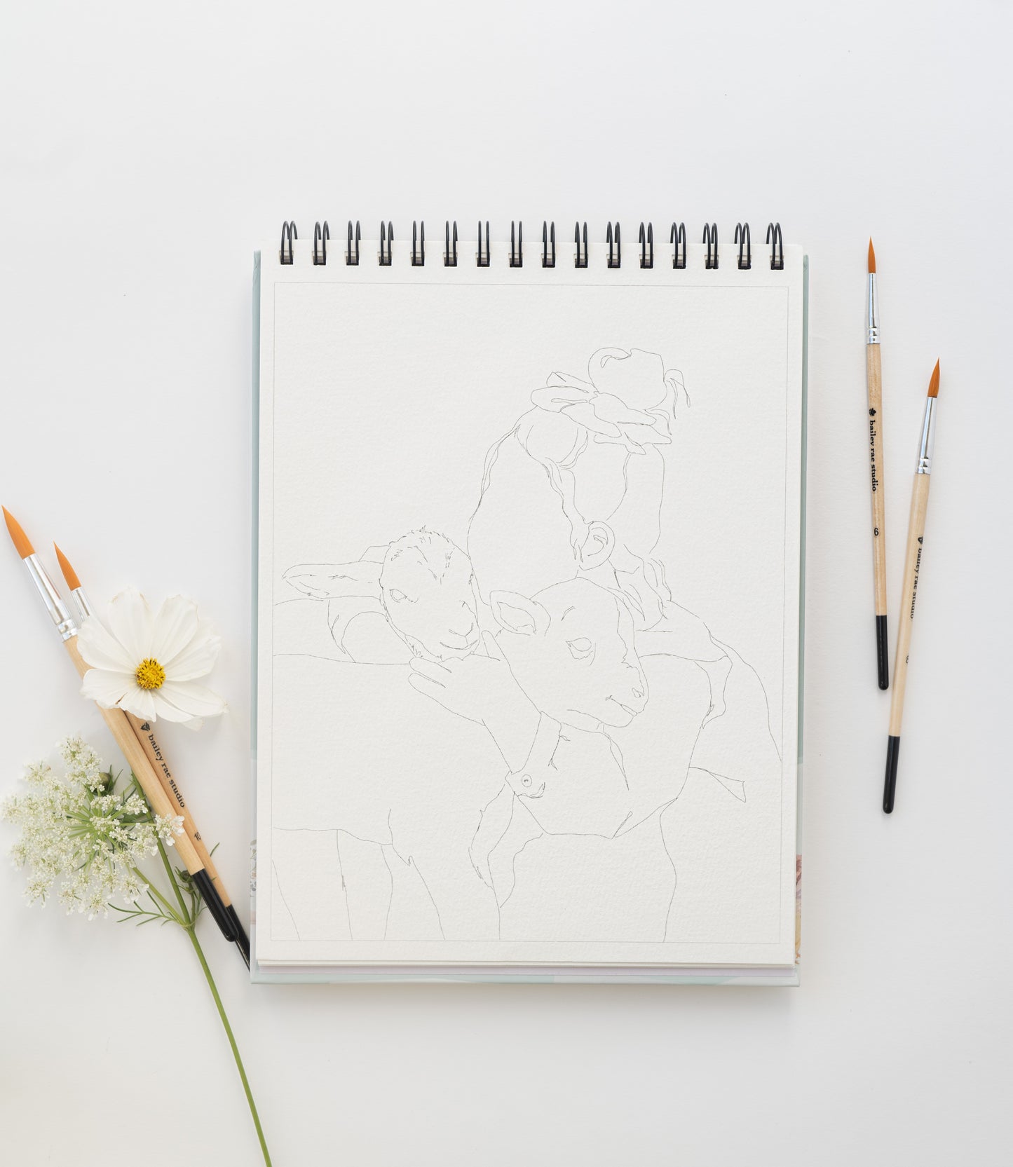 NEW - country life watercoloring book