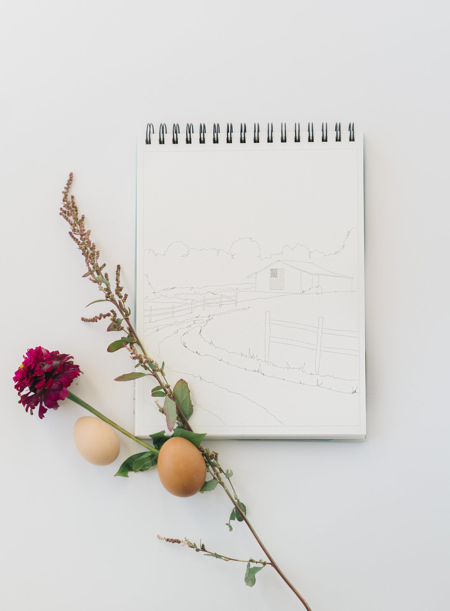 NEW - country life watercoloring book