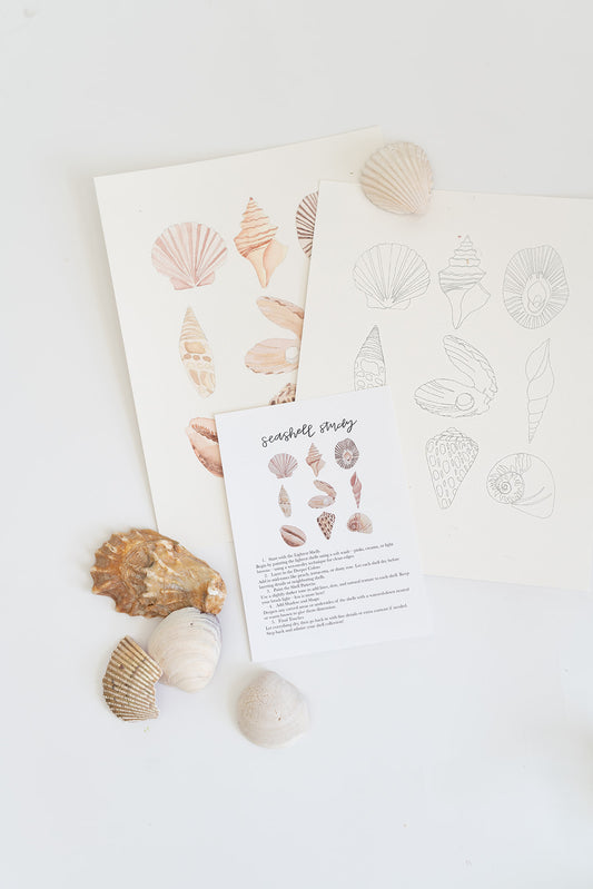 seashell study - watercolor kit