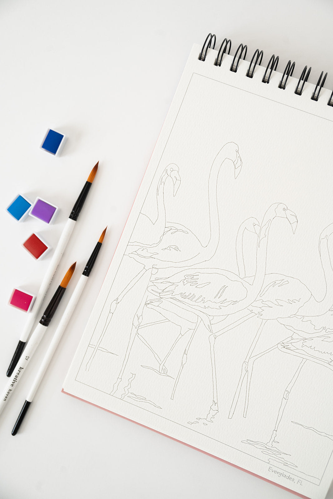 national parks watercolor book – Bailey Rae Studio