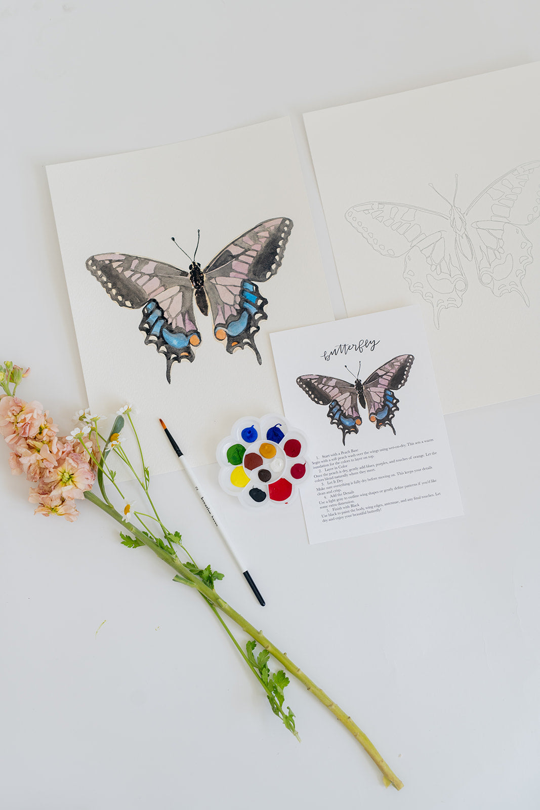 butterfly - watercolor kit