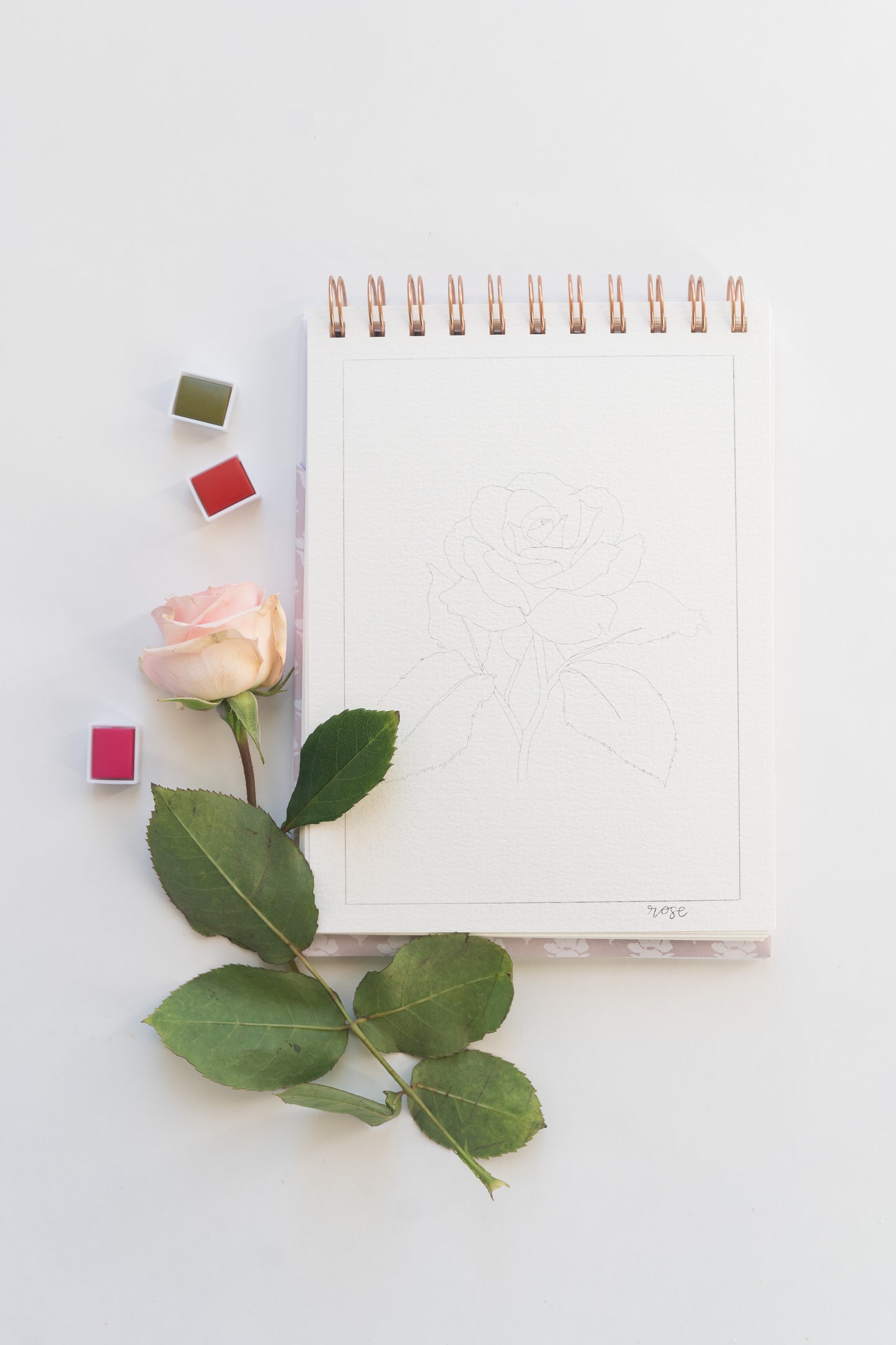 NEW flowers — watercolor workbook