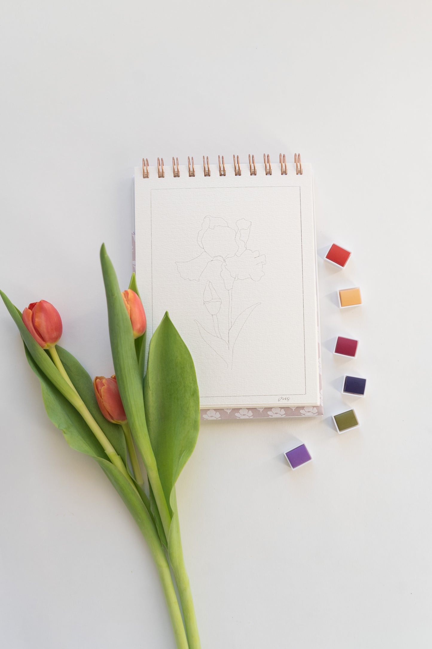 NEW flowers — watercolor workbook